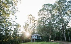 Bluegums Cabins Barrington Tops
